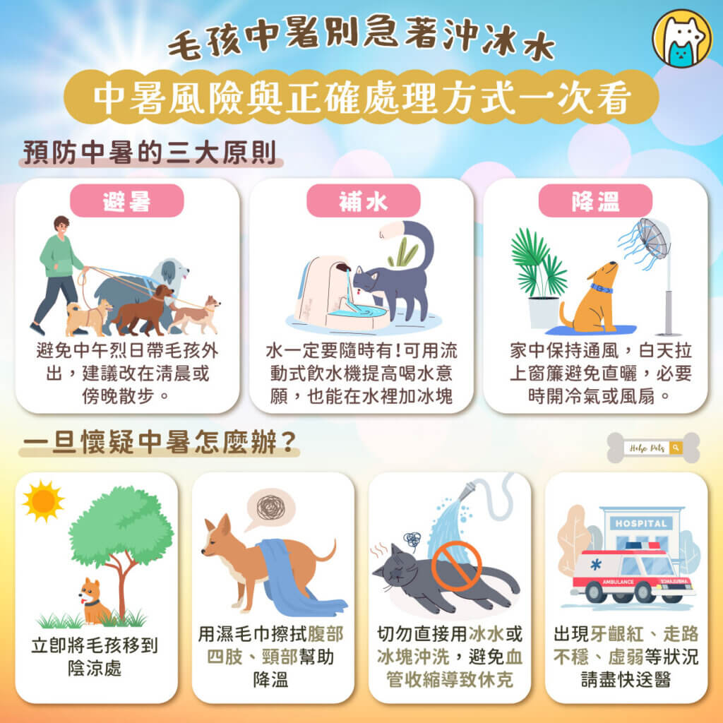毛孩中暑別急用冰水!飼主必懂的正確降溫方式 夏天氣溫愈來愈高,狗狗和貓咪不像人類能透過流汗散熱,一旦沒有做好防護,輕則出現不適,嚴重可能導致中暑甚至死亡。身為飼主,了解中暑風險與正確處理方式,是守護毛孩健康的重要責任。