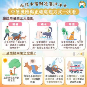 夏天氣溫愈來愈高，狗狗和貓咪不像人類能透過流汗散熱，一旦沒有做好防護，輕則出現不適，嚴重可能導致中暑甚至死亡。身為飼主，了解中暑風險與正確處理方式，是守護毛孩健康的重要責任。