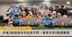 每年 9 月 9 日為台灣「狗狗節」，隨著飼養寵物的人口增加，寵物玩具的安全性成為飼主關注的新焦點。中華寵物用品發展協會主委黃獻平提醒，寵物玩具主要功能為陪伴、訓練、舒壓及最重要的情感連結，合適的玩具才能陪伴毛寶貝每一個階段，並分享 4 個幫毛孩挑選玩具的要領。