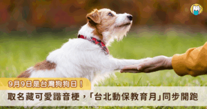 9 月 9 日為台灣狗狗日，專門為平時陪伴在身邊的毛孩慶祝，也透過這個日子讓更多人關心狗狗的幸福和健康生活，除了家裡的毛孩之外也照顧到守護國家的毛英雄。農業部持續推動執勤犬全面納保政策，9 月起 6 類的執勤犬陸續啟動投保，將在明年元旦前全面納保完成。
