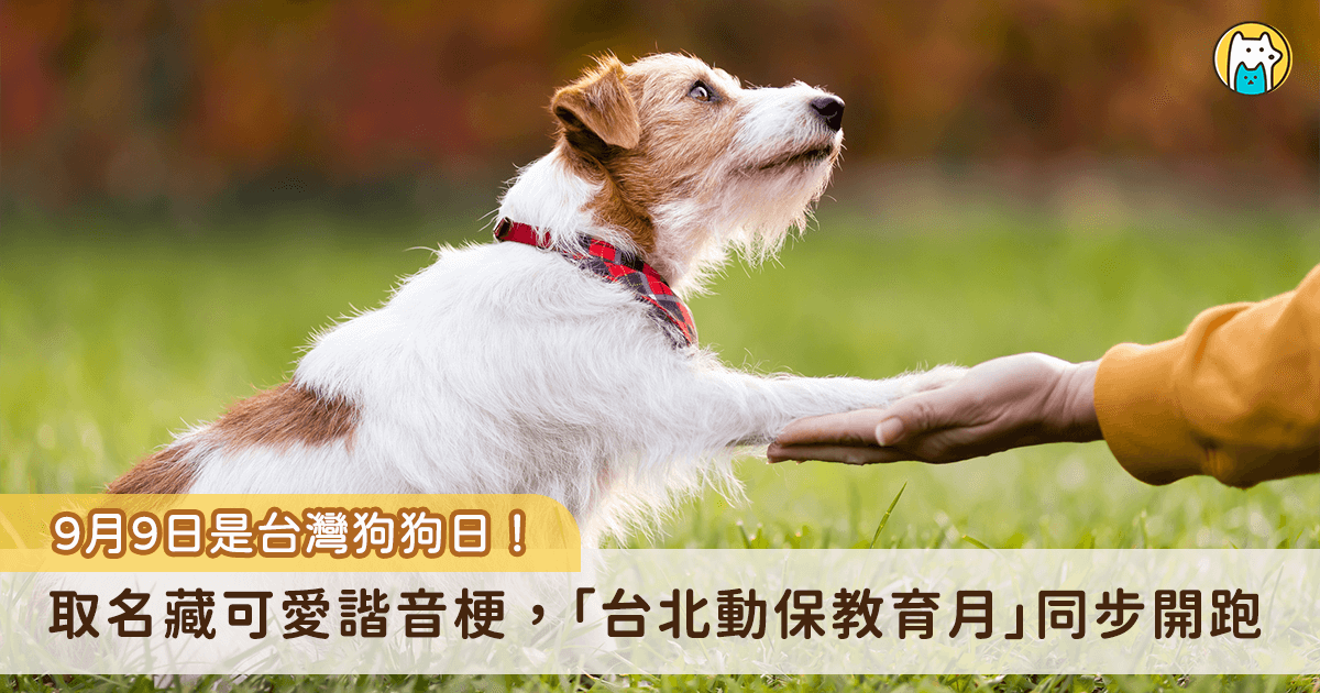 9 月 9 日為台灣狗狗日，專門為平時陪伴在身邊的毛孩慶祝，也透過這個日子讓更多人關心狗狗的幸福和健康生活，除了家裡的毛孩之外也照顧到守護國家的毛英雄。農業部持續推動執勤犬全面納保政策，9 月起 6 類的執勤犬陸續啟動投保，將在明年元旦前全面納保完成。