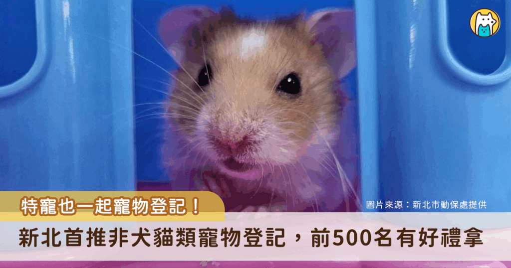 特寵一起來寵物登記！新北市率先推動「非犬貓類寵物登記」制度，提供寵物登記服務，即日起至 114 年底止，凡完成登記者即可享有多種好康，前 500 名登記更能獲得新北幣 300 點、且寵物往生後可享免費集體火化及樹葬服務。