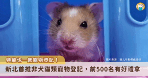 特寵一起來寵物登記！新北市率先推動「非犬貓類寵物登記」制度，提供寵物登記服務，即日起至 114 年底止，凡完成登記者即可享有多種好康，前 500 名登記更能獲得新北幣 300 點、且寵物往生後可享免費集體火化及樹葬服務。