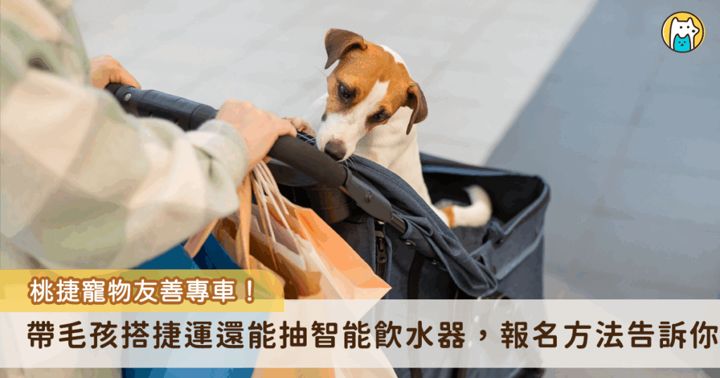 9 月 27 日將舉辦桃園寵物嘉年華，桃園捷運公司為響應活動，攜手桃園市政府動物保護處首次推出一日限定的「寵物友善專車」，開放中小型犬隻報名參加，活東當天拍下與毛孩共乘的可愛畫面，並上傳到「桃園市寵物嘉年華」FB 粉絲專頁就有機會抽到限量的寵物智能飲水機。