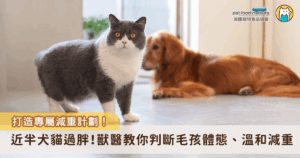 犬貓肥胖問題在現代社會越來越普遍，根據國外調查，英國、美國近一半的犬貓有過重或肥胖的問題，不僅影響外觀，還會大幅提高代謝疾病、心肺疾病、關節炎、糖尿病，甚至癌症等風險，對毛孩的壽命與生活品質皆可能造成長遠影響。