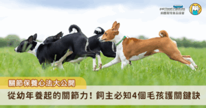 對犬貓而言，靈活的關節不僅是行動的基礎，更是快樂生活的來源，自在地追逐、輕盈地跳躍，或是和飼主一起散步，這些日常點滴都依賴著健康的關節。而年齡、營養攝取、體態管理以及日常活動都會影響牠們的關節狀況，因此飼主需要從毛孩幼年開始給予全面的照護與支持。