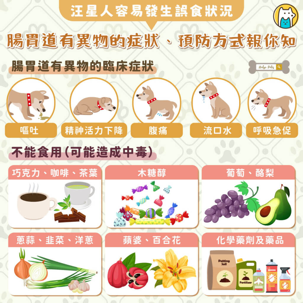 狗狗是天生用嘴巴來探索世界的動物，也因此容易發生誤食的狀況，導致腸胃道有異物，博愛動物醫院分享，誤食常見的臨床症狀包含嘔吐、活力下降、腹痛、流口水、呼吸急促等，若是狗狗出現以上症狀，建議立即送醫處理。