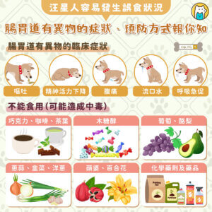 狗狗是天生用嘴巴來探索世界的動物，也因此容易發生誤食的狀況，導致腸胃道有異物，博愛動物醫院分享，誤食常見的臨床症狀包含嘔吐、活力下降、腹痛、流口水、呼吸急促等，若是狗狗出現以上症狀，建議立即送醫處理。
