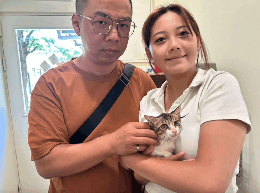 新北市永和區中正路有店家發現一隻幼貓誤踩黏鼠板，左半部被黏住，嘗試掙扎無法自救，情況危機通報動保處協助。幼貓送至中和動物之家協助脫困並進行健康檢查，休養至恢復健康後已找到認養人。