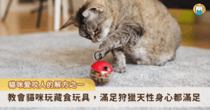 大家養貓有遇過「玩」這方面的問題嗎？養了隻貓咪電力永遠放不完、半夜還在作怪擾人清夢？ 在家中走動時，被突然竄出的貓抱咬腳跟，痛到眼淚飆出？ 買了各式各樣的逗貓棒或玩具嘗試讓貓運動，但貓咪完全沒興趣？除了這些讓人頭痛的情況之外，亂尿尿、焦慮引起的過度舔毛等行為問題，也都有機會靠著「藏食玩具」來改善唷！