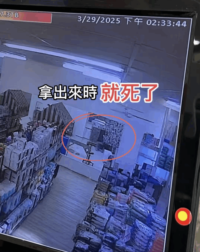 台中市一名飼主 3 月時將愛貓「美金」送至寵物店送洗，過一陣子卻接到店家電話告知美金被送往寵物醫院，不幸離世。事後調閱監視器，飼主發現美金於烘箱機抱出來已沒了氣息，悲痛發文公布事情經過，並控訴店家沒有在事發第一時間通知飼主、輕視生命。對此，寵物店稍早也發出聲明道歉。