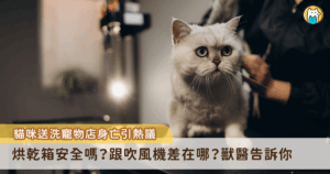 日前一名飼主將愛貓「美金」送到寵物店送洗，隨後接到愛貓身亡的消息，店家解釋為烘乾箱時間設定錯誤，導致憾事發生。不少飼主擔心貓咪使用烘乾箱會有危險，大陸網紅獸醫張旭曾分享，烘乾箱理論上對貓咪是沒有危險的，但如果要使用烘乾箱，身邊一定要有人隨時全程盯著，避免狀況發生。