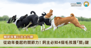 對犬貓而言，靈活的關節不僅是行動的基礎，更是快樂生活的來源，自在地追逐、輕盈地跳躍，或是和飼主一起散步，這些日常點滴都依賴著健康的關節。而年齡、營養攝取、體態管理以及日常活動都會影響牠們的關節狀況，因此飼主需要從毛孩幼年開始給予全面的照護與支持。