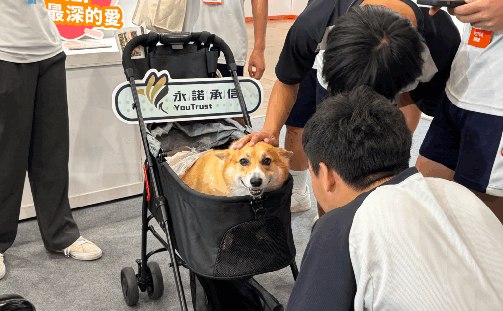 台灣邁入超高齡社會不只需要人照顧，寵物也逐漸高齡化，難免面對老化與失智的挑戰，2025 第六屆台北國際照護博覽會此次擴大「寵物長照館」，更聚焦在高齡犬貓照護，從寵物營養保健、預防醫學到善終規劃，多面向整合，讓飼主陪伴高齡毛孩共享有品質的健康生活。