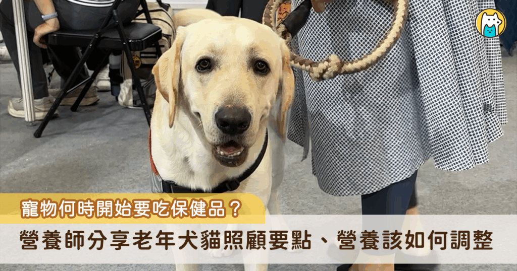 2025 第六屆國際照顧博覽會 25 至 27 日於南港展覽館開跑，此次展館中包含寵物長照主題館，現場也連續舉辦 3 天論壇，邀請邀請獸醫師、營養師、各類長照照護人士分享知識。營養師詹謦鴻在論壇中分享老年動物營養的照護點，包含營養上的調整、保健品何時開始吃、熱量調整。