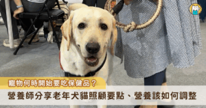 2025 第六屆國際照顧博覽會 25 至 27 日於南港展覽館開跑，此次展館中包含寵物長照主題館，現場也連續舉辦 3 天論壇，邀請邀請獸醫師、營養師、各類長照照護人士分享知識。營養師詹謦鴻在論壇中分享老年動物營養的照護點，包含營養上的調整、保健品何時開始吃、熱量調整。