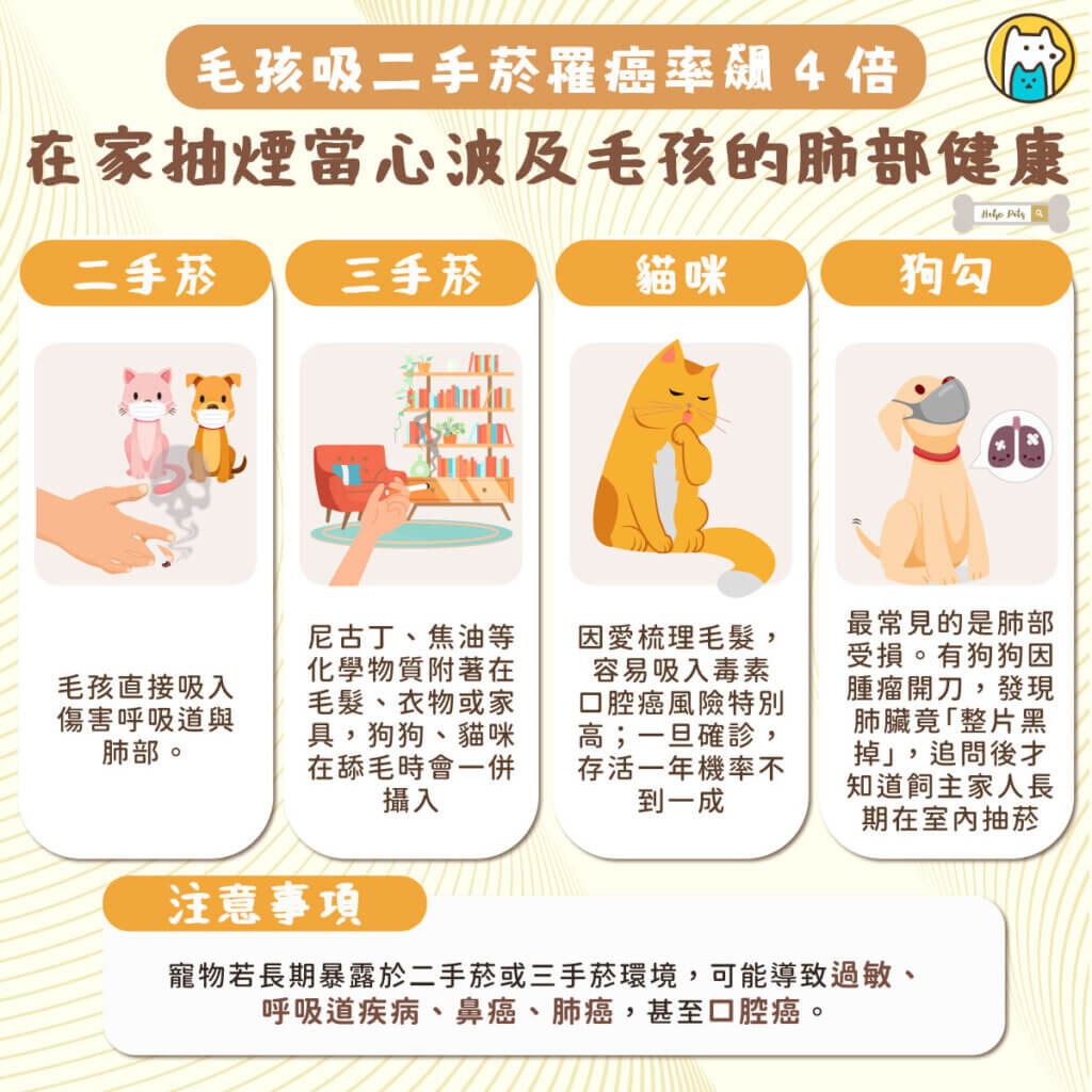 台灣飼養犬貓數量已達 279 萬隻，不少家庭同時有抽菸習慣，卻忽略菸害不僅傷害家人，也會嚴重影響毛孩健康。寵物若長期暴露於二手菸或三手菸環境，可能導致過敏、呼吸道疾病、鼻癌、肺癌，甚至口腔癌。研究顯示，毛孩在有菸害的家庭中，罹癌風險比無菸環境高出 2 至 4 倍。