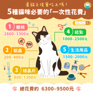 養貓真的很貴嗎？ 5 大初期花費幫你算清楚