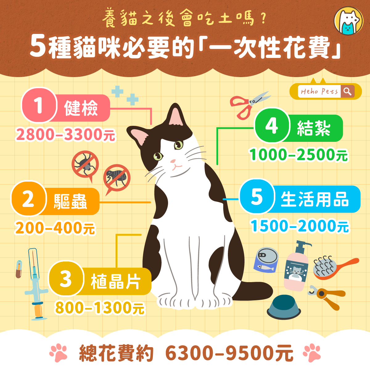 養貓真的很貴嗎? 5 大初期花費幫你算清楚 養貓真的很貴嗎? 5 大初期花費幫你算清楚