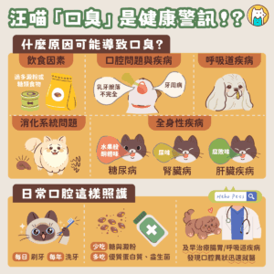 毛孩有口臭原來是警訊? 5 成因與 3 日常維護很重要! 毛孩有口臭原來是警訊? 5 成因與 3 日常維護很重要!