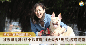 藝人洪小鈴家中的 14 年前撿到愛犬「馬尼」，一路陪伴她走過人生各個階段，馬尼天生有著淡粉色的「小豬鼻」，具有象徵性的特色標誌，即使邁入高齡也仍維持，甚至還曾被小女童誤認為是豬，指著馬尼要媽媽一起來看。