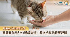 腎臟病是犬貓常見且無法逆轉的慢性疾病之一，許多毛孩在被診斷後，飼主往往陷入焦慮與不安；其實，除了依照獸醫師的治療計畫外，日常飲食與水分管理更是維持生活品質、延緩病程的核心。透過適當的飲食調整，能幫助毛孩減輕腎臟負擔，讓牠在控制病情的同時，也能保持穩定的健康狀態。