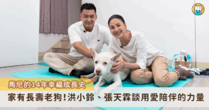 台灣知名女演員洪小鈴拍攝過無數廣告，曾出演《戀愛女王》、《放羊的星星》、《真愛找麻煩》等多部賣座影劇，更曾入圍第 47 屆金鐘獎戲劇節目女配角獎，演藝上擁有亮眼成績，私底下的生活也富含色彩，與同為演員的張天霖結為夫妻，誕下女兒「小鈴噹」享受成為人母的那一份喜悅，喜愛狗狗的她還有一隻 14 歲愛犬「馬尼」，陪伴著洪小鈴經歷演藝生活到結婚生子。