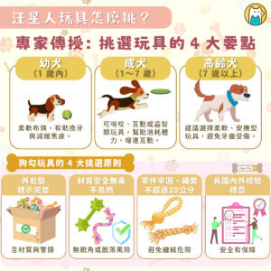 每年 9 月 9 日是台灣「狗狗節」。隨著飼主人數增加，寵物玩具的安全性逐漸成為關注焦點。新北市動保處與中華寵物用品發展協會、台北海洋科技大學寵物業經營管理系合作，於板橋動物之家舉辦「新北寵物玩具趣」活動，現場設有安全玩具展示、互動體驗及講座，推廣「安全玩具」觀念。