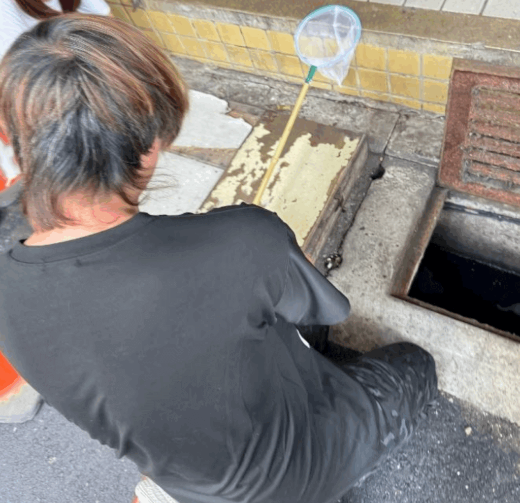 水溝傳出微弱叫聲 動保員跪地撈出手掌大「髒毛球」真面目萌翻 新北市動物保護防疫處日前接獲民眾通報,在新莊區建安街附近水溝發現疑似小貓受困。動保處獲報後立即派員救援,由於小貓受困於水溝深處,增加了救援難度。動保員方英傑利用束線帶將捕昆蟲網桿與拖把棍連結,自製長約 3 公尺的救援工具,成功將小貓救出。