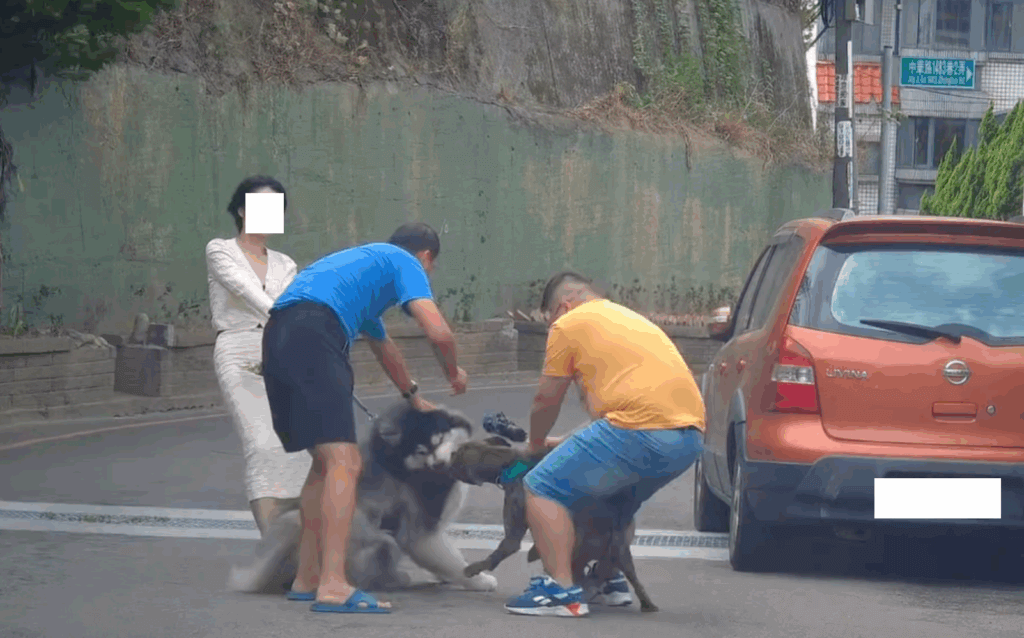 新竹雪橇犬散步突遭「未牽繩比特犬」攻擊送醫 動物防疫所開罰8萬6千元 新竹縣一名模特兒飼主 19 日帶著自家阿拉斯加雪橇犬「沒有門(𝐌𝐞𝐥𝐯𝐢𝐧)」外出散步遭到未牽繩的犬隻撲咬,且犬隻為比特犬,咬著愛犬不放,造成肌肉撕裂傷需開刀,最後出動 3 人合力才將 2 隻狗拉開,飼主在鄰居通知後才趕到現場。新竹縣動物防疫所約談飼主,開罰 8 萬 6000 元,該犬隻將登記為比特犬並終身列管。