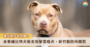 新竹雪橇犬散步突遭「未牽繩比特犬」攻擊送醫 動物防疫所開罰8萬6千元 新竹縣一名模特兒飼主 19 日帶著自家阿拉斯加雪橇犬「沒有門(𝐌𝐞𝐥𝐯𝐢𝐧)」外出散步遭到未牽繩的犬隻撲咬,且犬隻為比特犬,咬著愛犬不放,造成肌肉撕裂傷需開刀,最後出動 3 人合力才將 2 隻狗拉開,飼主在鄰居通知後才趕到現場。新竹縣動物防疫所約談飼主,開罰 8 萬 6000 元,該犬隻將登記為比特犬並終身列管。