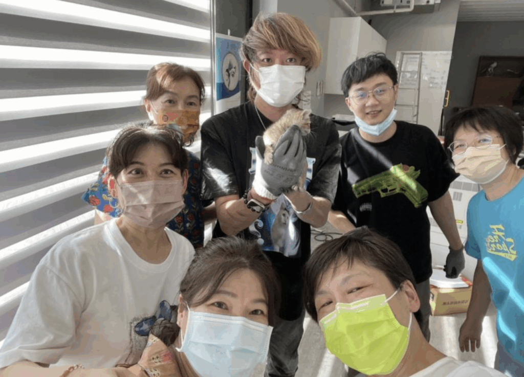 新北市動保處日前接獲通報，八里區仁愛路 228 號一間工廠有一隻小貓受困在鐵皮外牆縫隙內，動保處獲報後即派員前往救援。最後在工廠老闆娘及員工合力協助下成功救援將貓咪救出，小貓咪本身外觀上並無明顯外傷，活力十分良好，給予牛奶喝也迅速喝完，老闆娘也決定認養這隻跟她們很緣分的小貓。