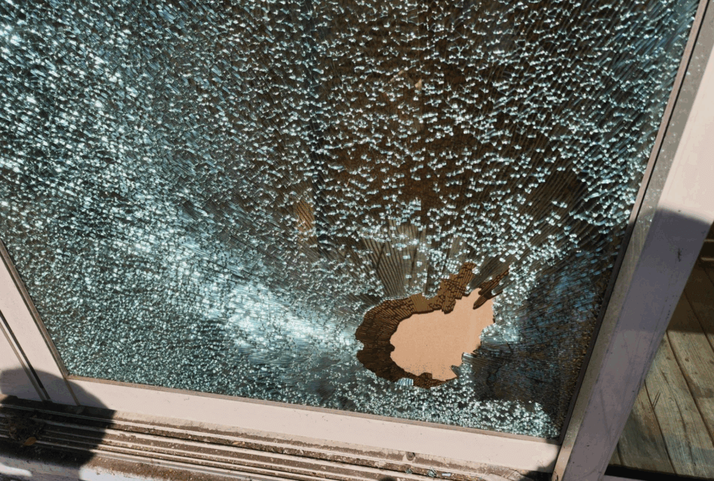 新北市動保處日前接獲通報，八里區仁愛路 228 號一間工廠有一隻小貓受困在鐵皮外牆縫隙內，動保處獲報後即派員前往救援。最後在工廠老闆娘及員工合力協助下成功救援將貓咪救出，小貓咪本身外觀上並無明顯外傷，活力十分良好，給予牛奶喝也迅速喝完，老闆娘也決定認養這隻跟她們很緣分的小貓。