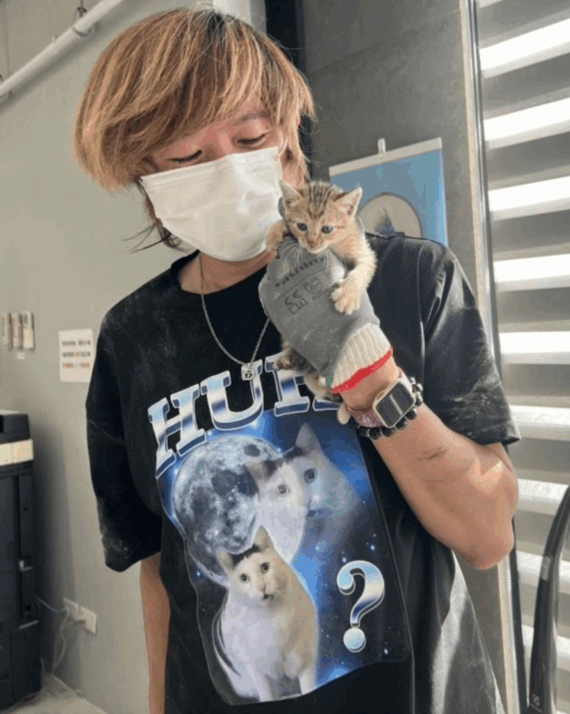 新北市動保處日前接獲通報，八里區仁愛路 228 號一間工廠有一隻小貓受困在鐵皮外牆縫隙內，動保處獲報後即派員前往救援。最後在工廠老闆娘及員工合力協助下成功救援將貓咪救出，小貓咪本身外觀上並無明顯外傷，活力十分良好，給予牛奶喝也迅速喝完，老闆娘也決定認養這隻跟她們很緣分的小貓。