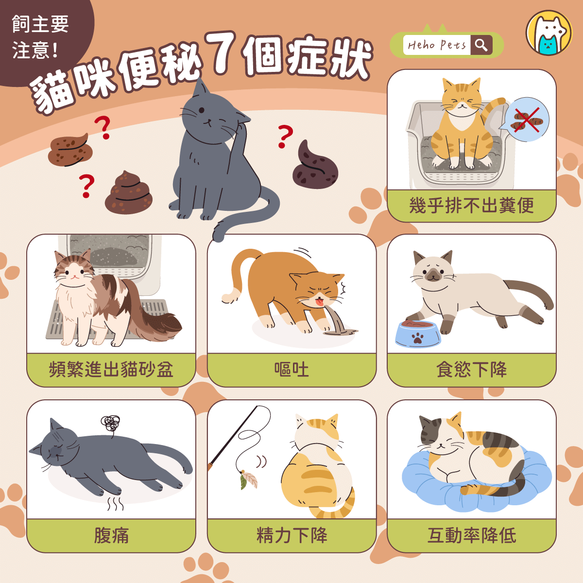 貓咪便秘 7 大警訊別忽略！原因、症狀與預防完整指南