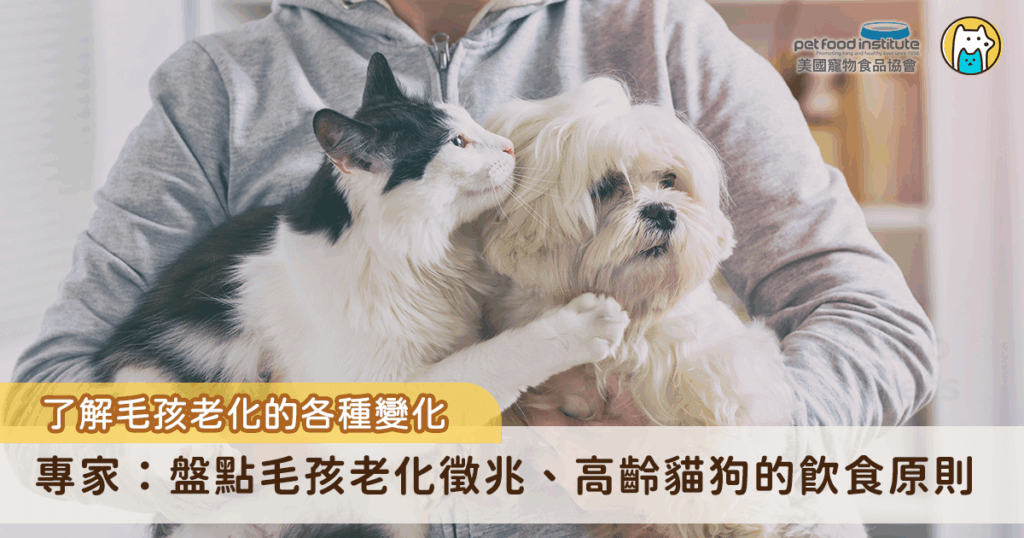 隨著醫療進步與飼主照護觀念提升，現今犬貓的平均壽命大幅延長，15歲以上的毛孩已相當常見。在毛孩步入高齡階段後，身體代謝與器官機能會逐漸退化，「飲食調整」成為守護健康與延緩老化的重要步驟。要保持高齡毛孩的活力，首先必須了解老化帶來的各種變化，並根據不同需求重新設計飲食方案。