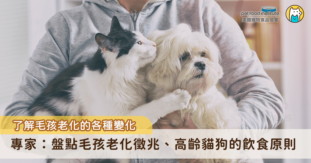 隨著醫療進步與飼主照護觀念提升，現今犬貓的平均壽命大幅延長，15歲以上的毛孩已相當常見。在毛孩步入高齡階段後，身體代謝與器官機能會逐漸退化，「飲食調整」成為守護健康與延緩老化的重要步驟。要保持高齡毛孩的活力，首先必須了解老化帶來的各種變化，並根據不同需求重新設計飲食方案。