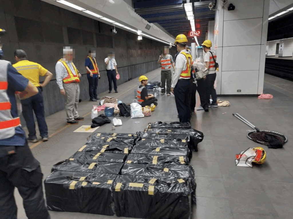 台北市松山車站發生一起貓隻逃逸事件，一隻為「Maru」的 15 歲老貓於車站月台逃逸至軌道區，動保處接獲通報與台鐵公司密切合作，配合台鐵規定及需求，展開多輪救援行動，累計已出勤 11 人次，4 度前往現場救援，至今仍未成功捕獲貓隻。