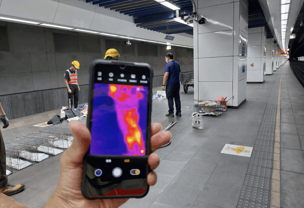 台北市松山車站發生一起貓隻逃逸事件，一隻為「Maru」的 15 歲老貓於車站月台逃逸至軌道區，動保處接獲通報與台鐵公司密切合作，配合台鐵規定及需求，展開多輪救援行動，累計已出勤 11 人次，4 度前往現場救援，至今仍未成功捕獲貓隻。