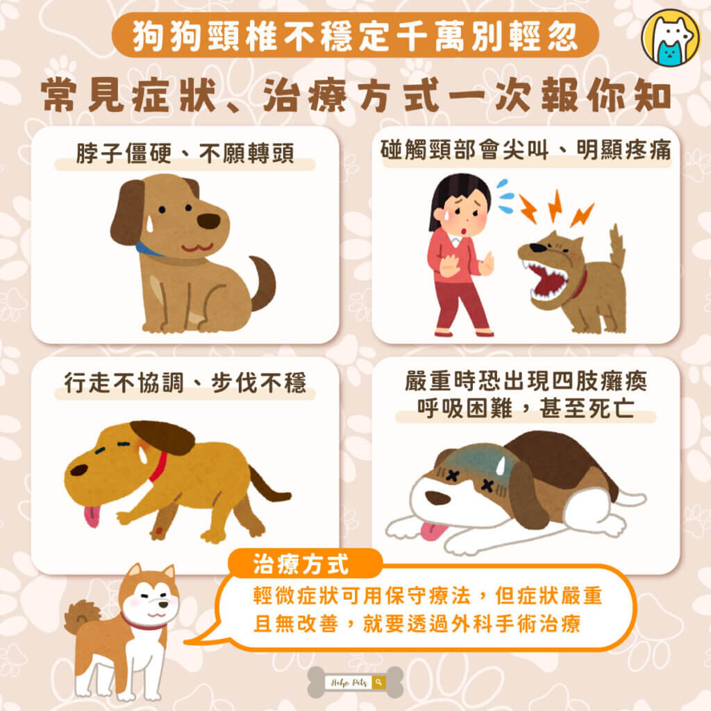 當狗狗一碰脖子就痛得大叫，別以為只是睡姿不對！這很可能是「頸椎不穩定」，一種會壓迫脊髓、導致癱瘓甚至危及生命的嚴重疾病。