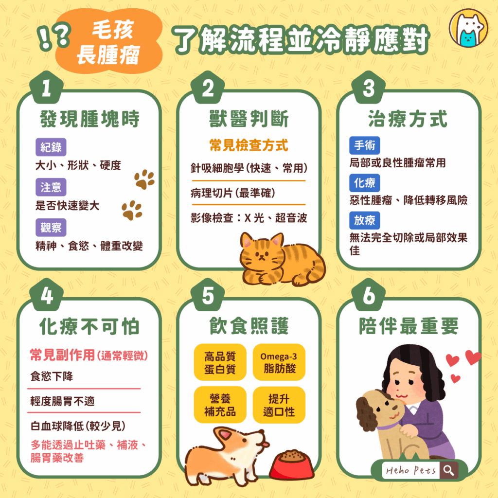 當毛孩被診斷出腫瘤時，多數飼主都會瞬間陷入震驚與不安，甚至感到無助。其實，腫瘤並不等於絕症，許多毛孩在專業醫療與細心照護下仍能維持良好生活品質，甚至順利康復。關鍵在於把握正確的步驟，並與獸醫攜手找到最適合牠的治療方式。