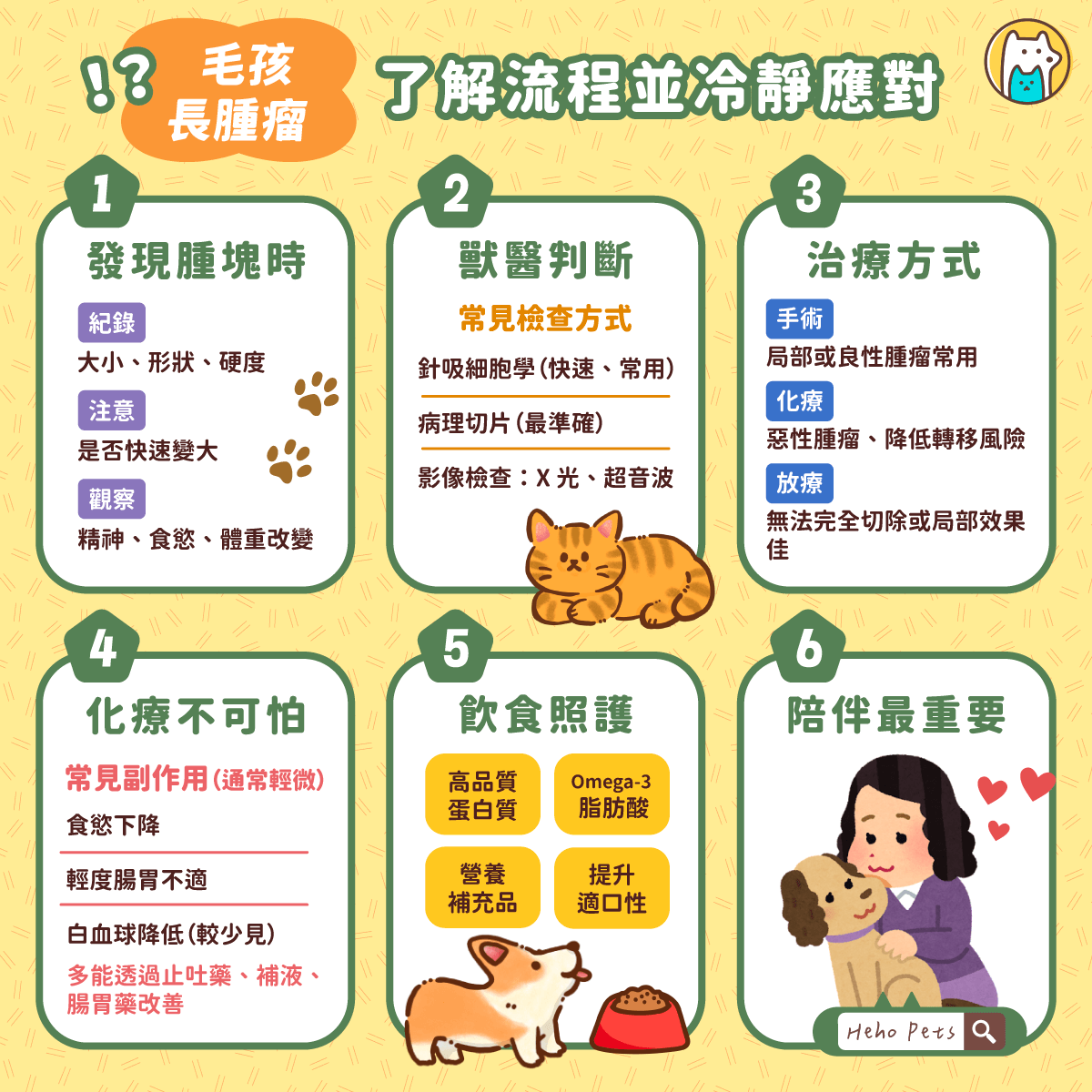 毛孩出現腫瘤別慌張！從檢查到治療，溫柔陪牠一起走過抗癌之路