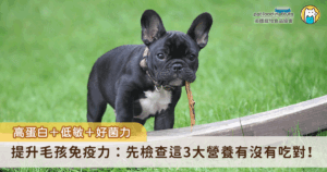 如何透過飲食建立犬貓良好的免疫力，同時兼顧消化道健康，是許多飼主選購飼料時的重要考量。市面上許多知名美國寵物食品品牌，正是以「高蛋白、低敏、富含益生菌」這三大營養哲學為核心，幫助毛孩從體內建立起強健免疫防線。