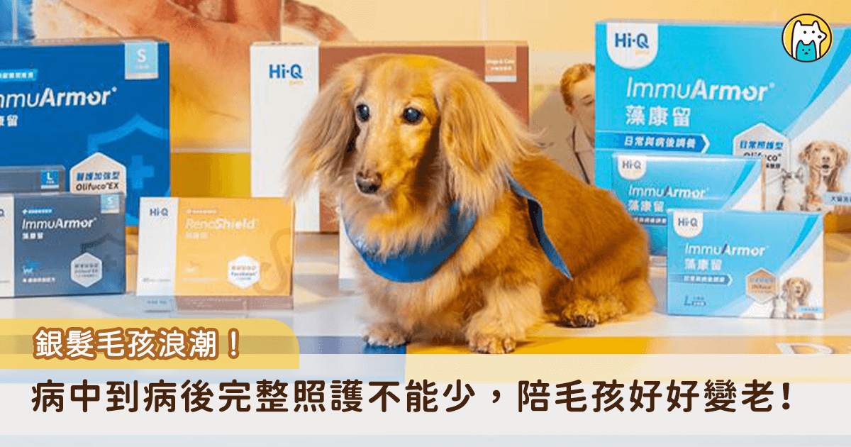 隨逐台灣犬貓高齡化，銀髮毛孩成為 279 萬毛孩家庭日常，疾病預防和長期保養是讓毛孩好好變老的關鍵。根據《2025 毛孩保健品調查》顯示，甚至有約 9 成飼主為毛孩生病才補充保養品，凸顯了飼主「有病再就醫」觀念與獸醫「預防 + 長期照護」實務之間的觀念鴻溝。