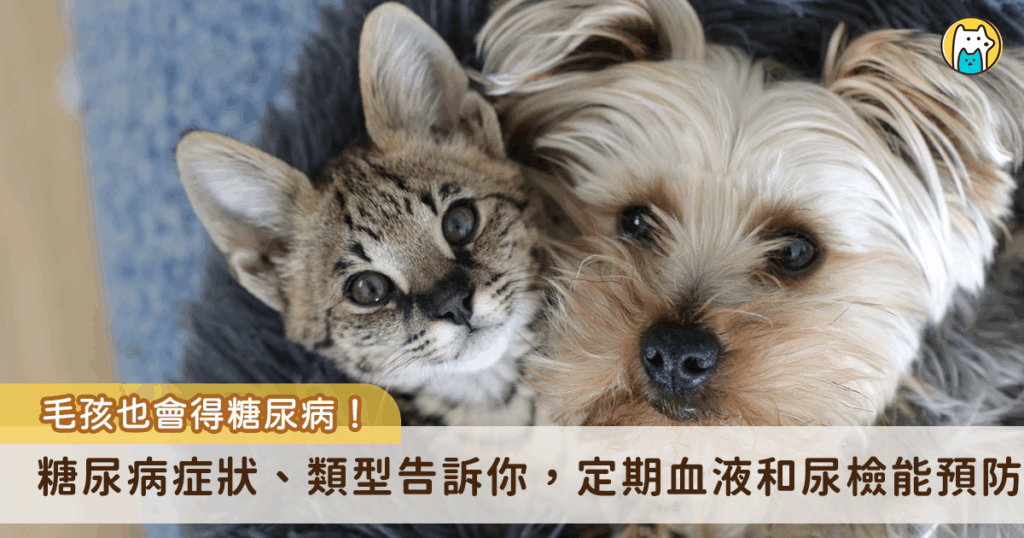 都市化生活和精緻飲食容易造成血糖與代謝問題，連犬貓都可能有糖尿病的問題。糖尿病是犬貓常見的代謝性疾病，成因為多種致病因子，造成絕對、相對之胰島素不足或是抗胰島素現象，導致碳水化合物代謝異常。