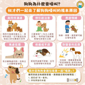 許多飼主一定都遇過：垃圾車的音樂一響，家裡的狗狗就開始抬頭嚎叫，彷彿在合唱一樣。到底狗狗為什麼會有這種「合音習慣」？專家指出，主要原因可能有兩種——「誤認身分」與「守護家園」。