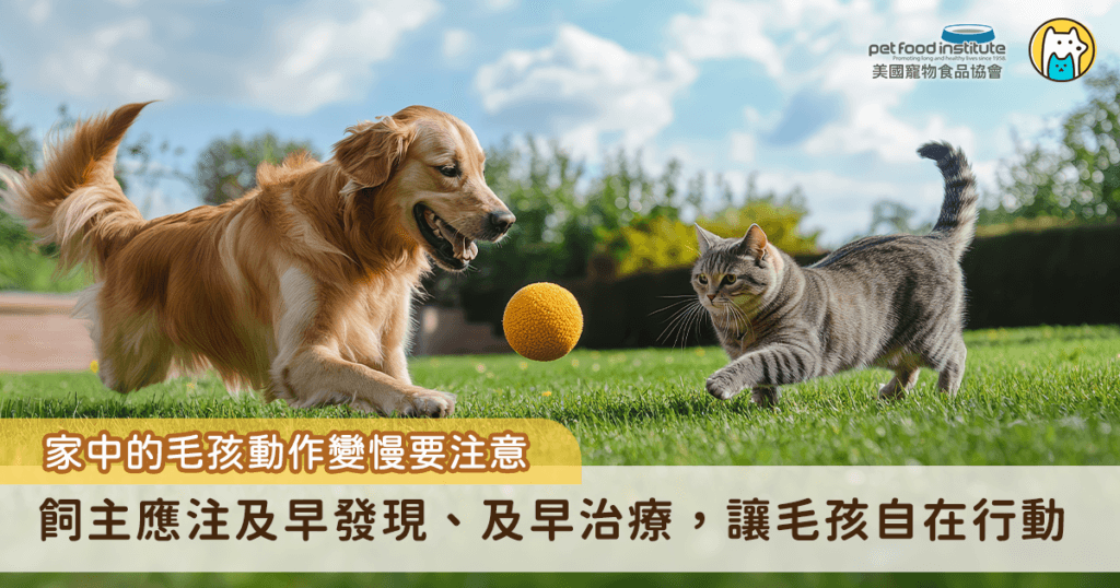 我們都知道毛孩的關節健康與日常生活息息相關，但你真的瞭解牠們的關節問題嗎？犬貓常見的關節疾病包括退化性關節炎、髖關節發育不良、髕骨脫臼。