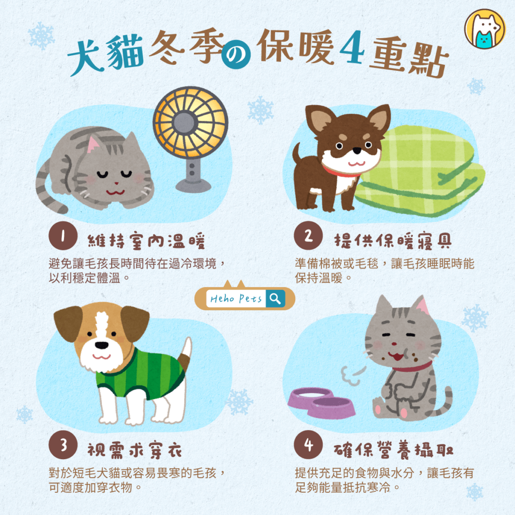 寒流別輕忽,不是有毛就耐寒!讓獸醫教你「冬季保暖4重點」 隨著冬天氣溫逐漸下降,毛孩在季節交替時更容易出現不適或感冒情況,因此日常的保暖措施顯得格外重要。全國動物醫院特別整理出「冬季保暖4招」,協助飼主替毛孩做好禦寒準備。