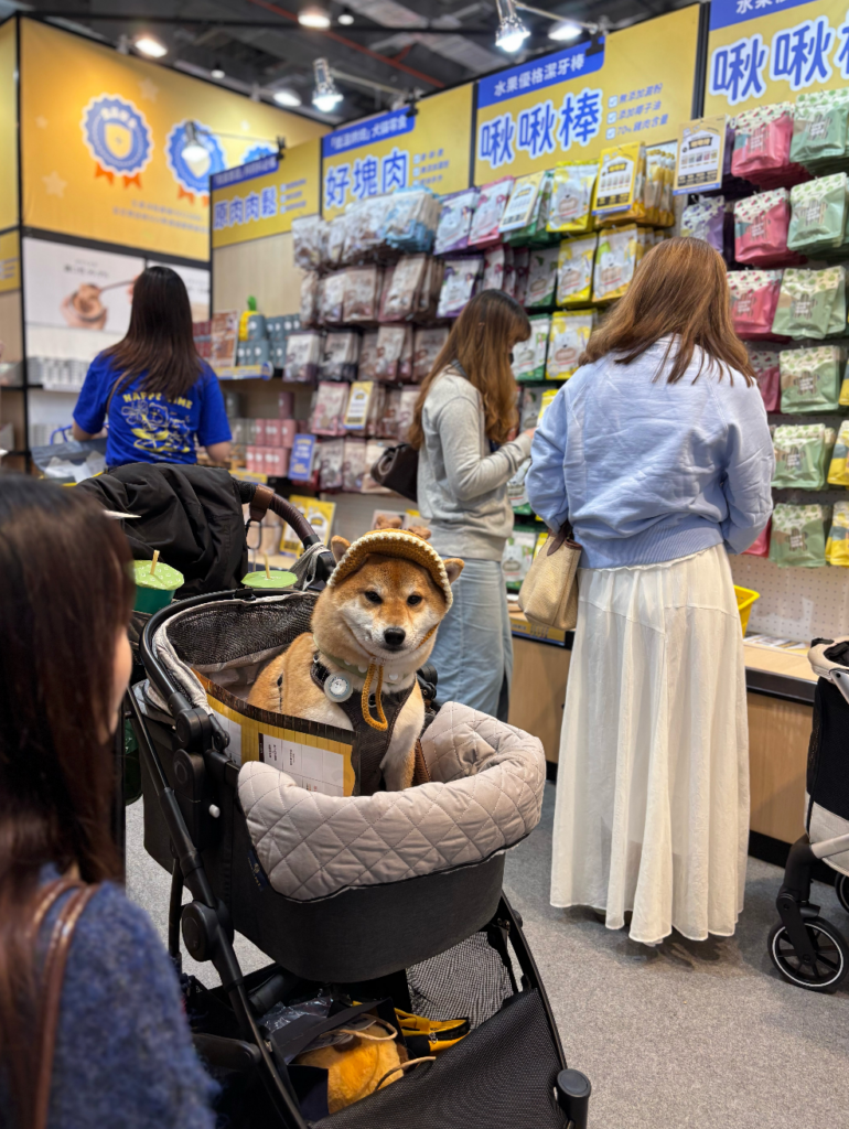 冬季寵物展/寵物展開跑第一天「萌寵教室爆滿!」 5 大精選亮點帶你逛 2025 上聯台北國際寵物用品博覽會 (冬季展) 2025 台北貓展於 12 月 5 日至 8 日南港展覽二館盛大登場,本次集結百家品牌,還有許多精彩活動和特色攤位,開跑第一天現場已破萬人到場,小編也集結 5 個本次寵物展的精選亮點,帶大家一起來看看有哪些好逛好玩的店家。