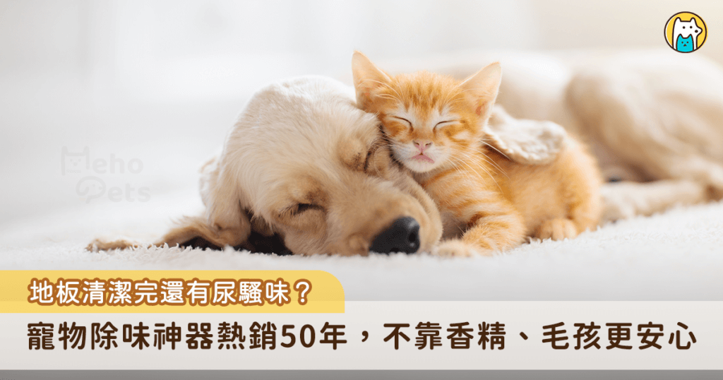 台灣天氣潮濕，每年的季節變化容易讓免疫力差的毛孩出現過敏反應，除了注重飲食健康與皮膚護理，日常環境的管理也不容小覷。小編整理了知名寵物營養保健品牌「沛睿德」推出的優質產品，包含熱銷 50 年的地板潔淨液與犬貓相關的營養保健品，無論是居家清潔、毛孩營養保健，換季期間還是能全方面守護毛孩健康。